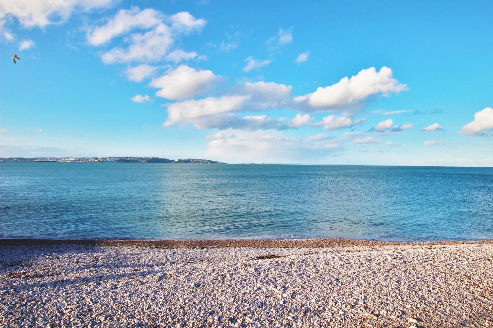 Quayside- In The Harbour Bowl Villa Brixham Eksteriør bilde